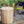 Load image into Gallery viewer, Baltic Plunge Tub with Chiller and Heater Combo Dundalk LeisureCraft CT33BP-2.jpg