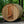 Load image into Gallery viewer, Almost Heaven Princeton 6 Person Classic Barrel Sauna Rustic Cedar Almost Heaven Sauna Barrel_Classic_Princeton_glass_1024x1024_2x_f99f508d-cdd5-44b0-b58a-059911f543c1.jpg