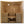 Almost Heaven Olympus 8 Person Sauna Almost Heaven Sauna Almost_Heaven_Olympus_8_Person_Sauna_02.webp