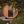 Almost Heaven Pinnacle 4 Person Classic Barrel Sauna - photo 3