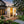 Finnleo NSO-46 Outdoor Sauna Finnleo FinnleoNSO-46OutdoorSauna08.webp