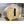 Load image into Gallery viewer, Finnish Sauna Builders Flat Bottom Barrel Sauna Pine / 7 ft Wide x 7 ft High x 6 ft Long,Pine / 7 ft Wide x 7 ft High x 7 ft Long,Pine / 7 ft Wide x 7 ft High x 8 ft Long,Pine / 7 ft Wide x 7 ft High x 9 ft Long,Pine / 7 ft Wide x 7 ft High x 10 ft Long,Knotty White Cedar / 7 ft Wide x 7 ft High x 6 ft Long,Knotty White Cedar / 7 ft Wide x 7 ft High x 7 ft Long,Knotty White Cedar / 7 ft Wide x 7 ft High x 8 ft Long,Knotty White Cedar / 7 ft Wide x 7 ft High x 9 ft Long,Knotty White Cedar / 7 ft Wide x 7 ft 
