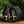 Almost Heaven Audra 4 Person Canopy Barrel Sauna - photo 1