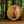 Almost Heaven Salem 2 Person Classic Barrel Sauna - photo 6