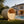 Vassa Finnish Barrel Sauna with WiFi Heater - Finnish Sauna Builders