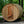 Load image into Gallery viewer, Almost Heaven Princeton 6 Person Classic Barrel Sauna Fir,Rustic Cedar,Onyx - Stained Southern Pine Almost Heaven Sauna Barrel_Classic_Princeton_glass_1024x1024_2x_f99f508d-cdd5-44b0-b58a-059911f543c1.jpg
