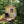 Load image into Gallery viewer, Almost Heaven Sauna Allegheny 4 Person Cabin Sauna Nordic Spruce Almost Heaven Sauna Cabin_Allegheny_1024x1024_2x_cf38aa7a-004b-41cc-8e5a-0b74cc134c6b.jpg
