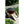 Load image into Gallery viewer, Dundalk Build Your Own - Cedar Tub Dundalk LeisureCraft CedarTub16.jpg
