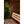 Almost Heaven Phoenix 6 Person Barrel Sauna Thermally Modified Hemlock Almost Heaven Sauna ContouredWindows_1024x1024_2x_jpg.webp