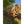 Load image into Gallery viewer, Dundalk Serenity Barrel Sauna  - 6&#39;6&quot; x 6&#39;6&quot; Dundalk LeisureCraft IMG_2906.jpg
