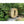 Load image into Gallery viewer, Dundalk Harmony Barrel Sauna 6&#39;6&quot; x 6&#39;6&quot; Dundalk LeisureCraft IMG_6375.jpg
