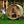 Load image into Gallery viewer, Almost Heaven Audra 4 Person Barrel Sauna with Rinse Ellipse Outdoor Shower Deluxe Package Almost Heaven Sauna Lifestyle_Audra_Barrel_GlassDoor_1024x1024_2x_05d612ba-ad34-4061-b355-a9abff3b349e.jpg
