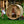 Almost Heaven Audra 4 Person Canopy Barrel Sauna Rustic Cedar,Onyx - Stained Southern Pine Almost Heaven Sauna Lifestyle_Audra_Barrel_GlassDoor_1024x1024_2x_9c0c08b6-c12a-4b77-aefc-1346a484df24.jpg