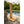 Load image into Gallery viewer, Dundalk Sunlight Outdoor Shower Dundalk LeisureCraft Print-3870.jpg
