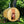 Load image into Gallery viewer, Almost Heaven Sauna Seneca 6 Person Classic Barrel Sauna Fir,Rustic Cedar,Onyx - Stained Southern Pine Almost Heaven Sauna Senecca_7800_AH_Sitecopy_110x110_2x_jpg.webp
